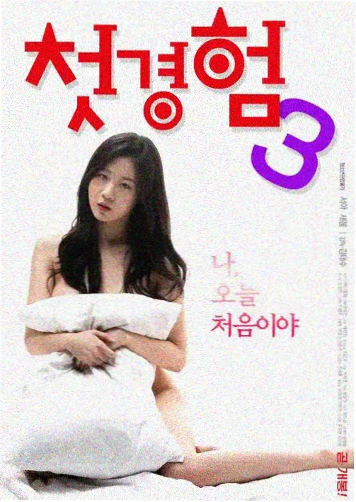 新婚之夜新娘被催眠的电视剧 海报